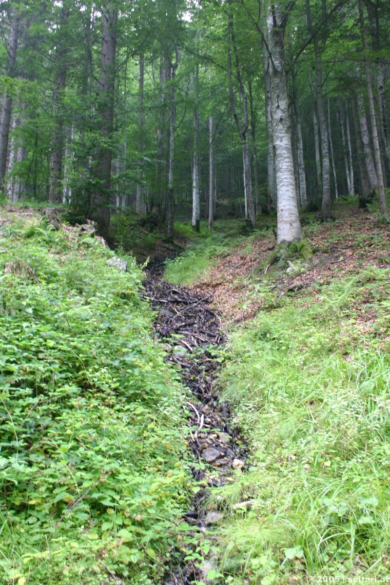 Wandern auf den Kitzstein