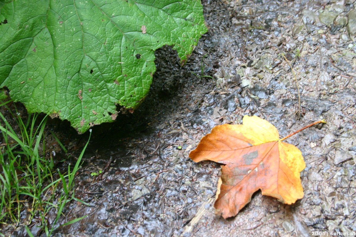 Wandern auf den Kitzstein