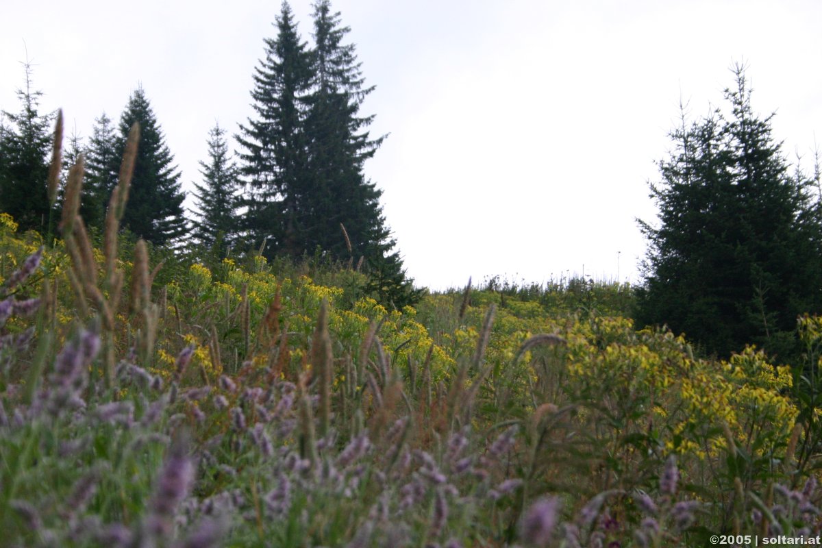 Wandern auf den Kitzstein