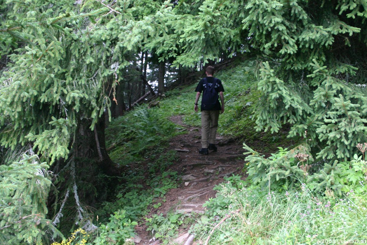 Wandern auf den Kitzstein