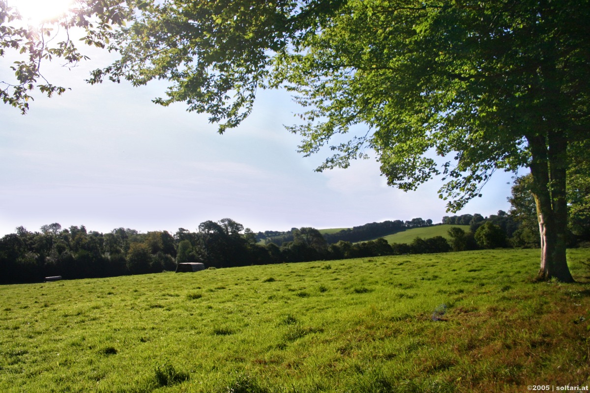 Blarney Castle