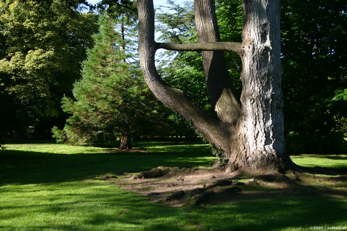 Blarney Castle