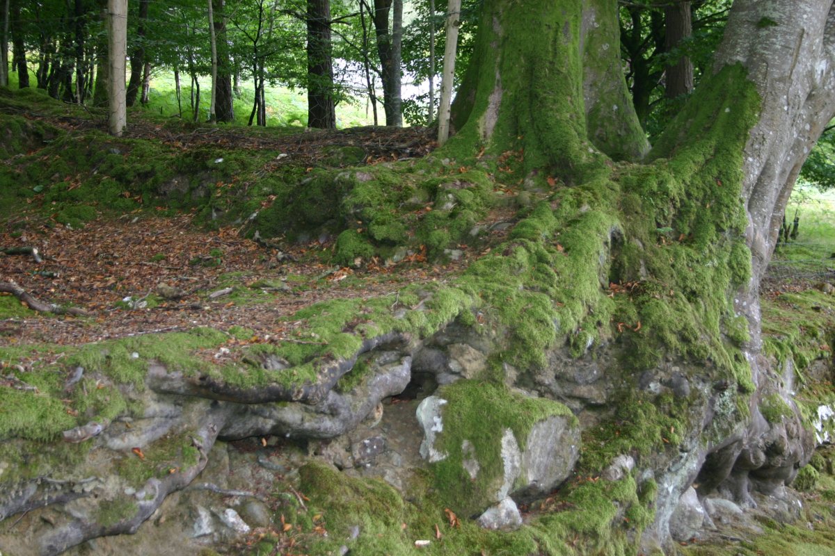 Glendalough