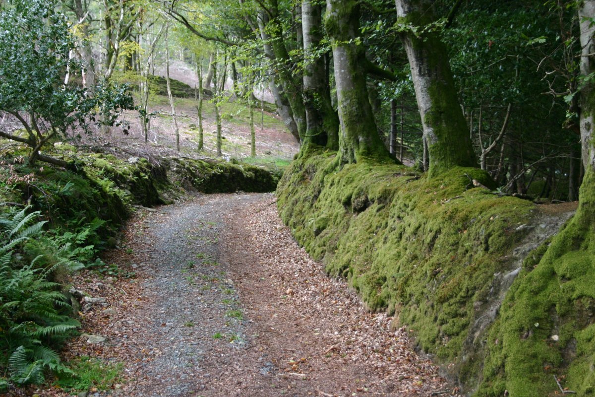 Glendalough