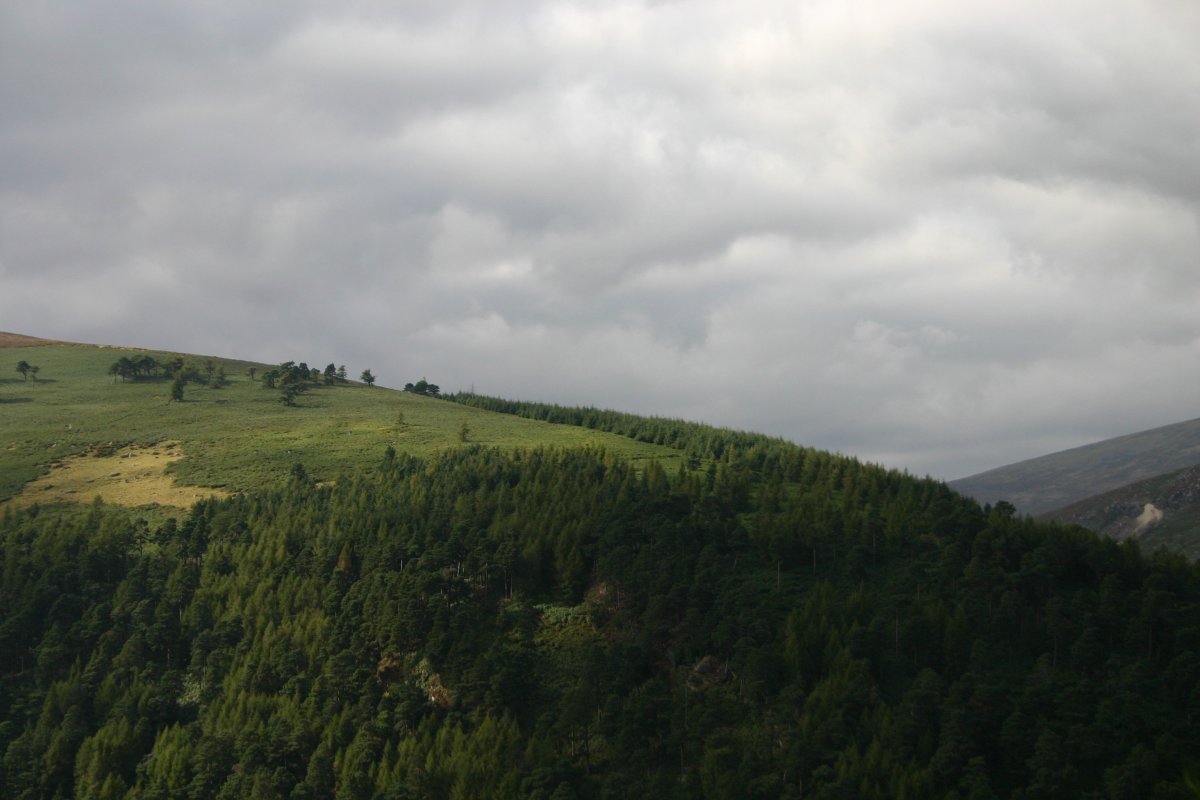 Glendalough