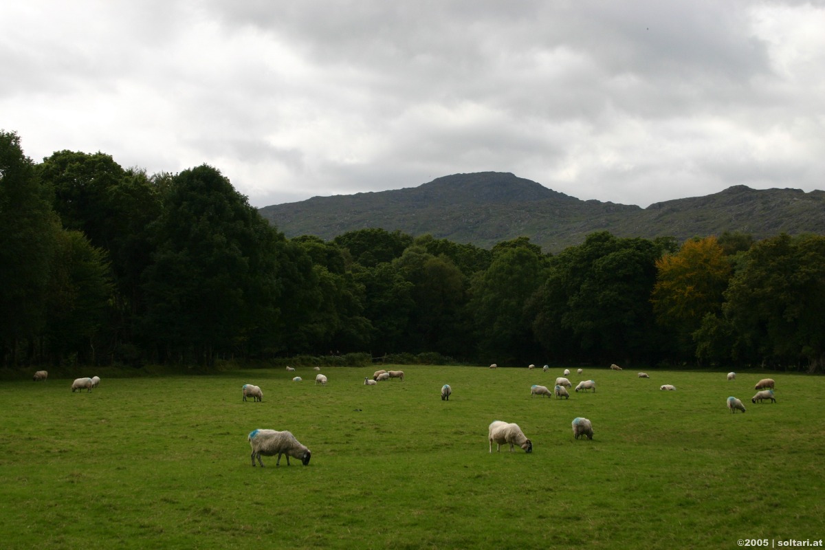 Killarney National Park