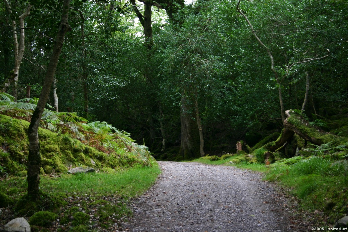 Killarney National Park