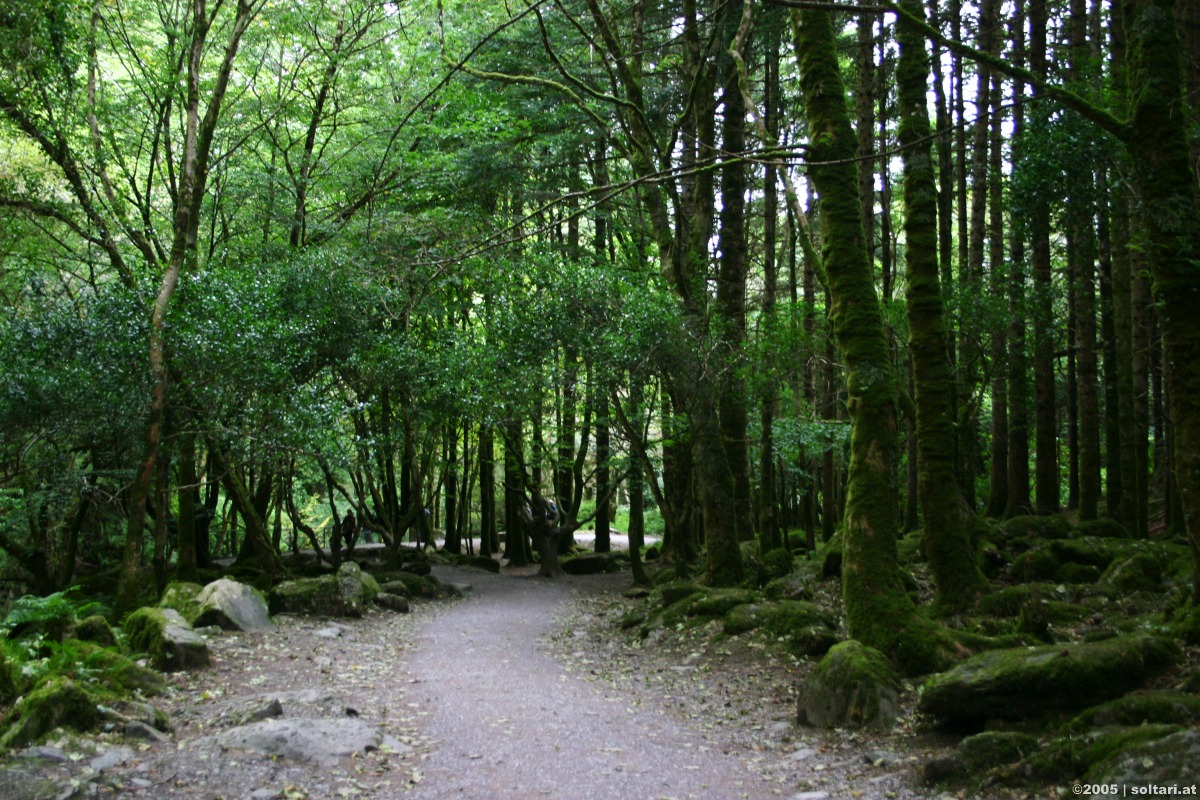 Killarney National Park