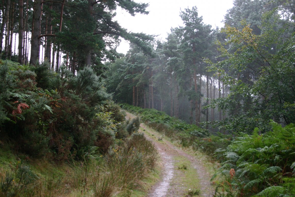 Wicklow Mountains