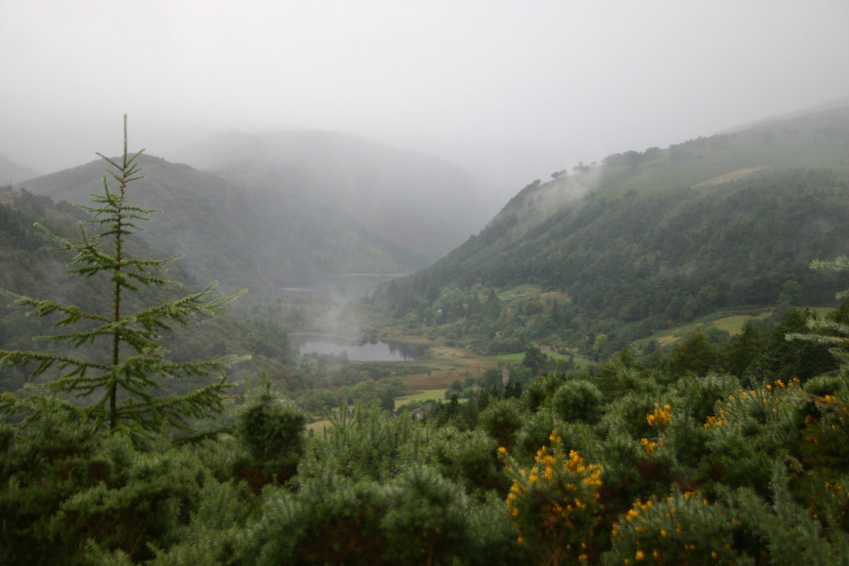 Wicklow Mountains