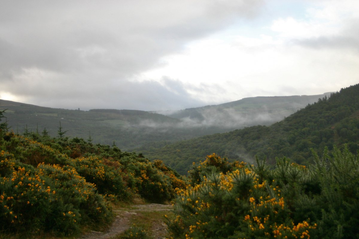 Wicklow Mountains