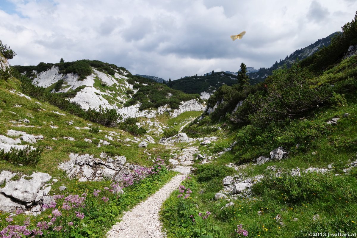 Totes Gebirge & Appelhaus