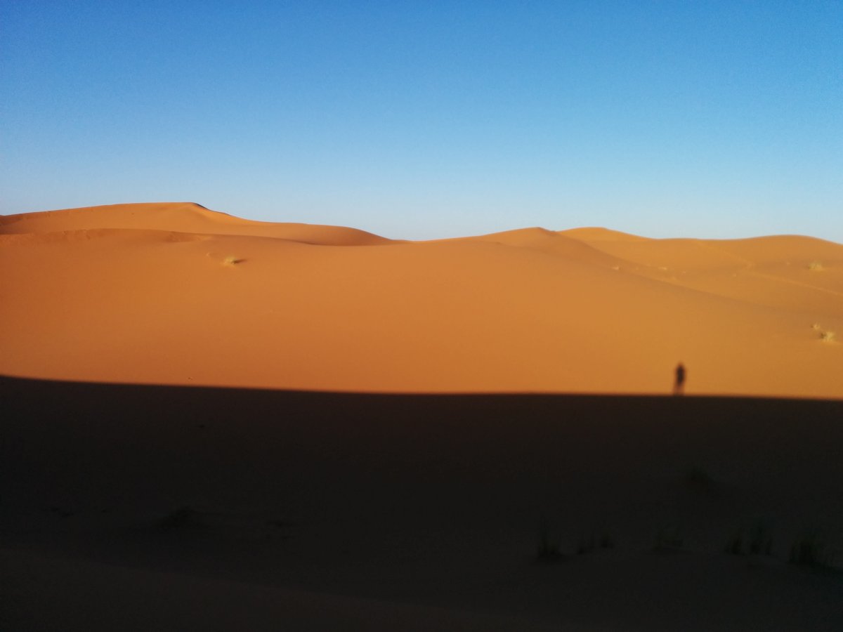 Die Sahara