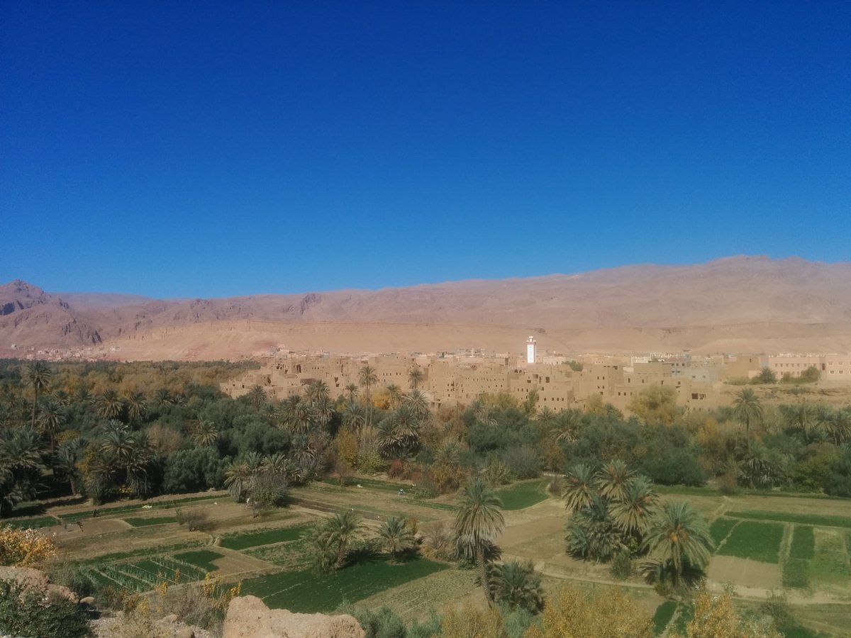 Todgha Gorges und Ait Benhaddou