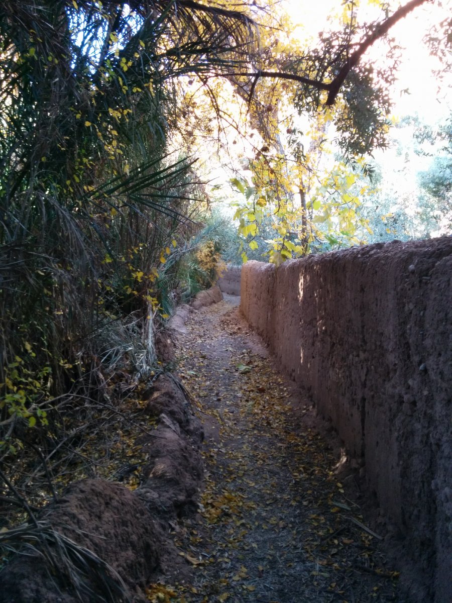 Todgha Gorges und Ait Benhaddou