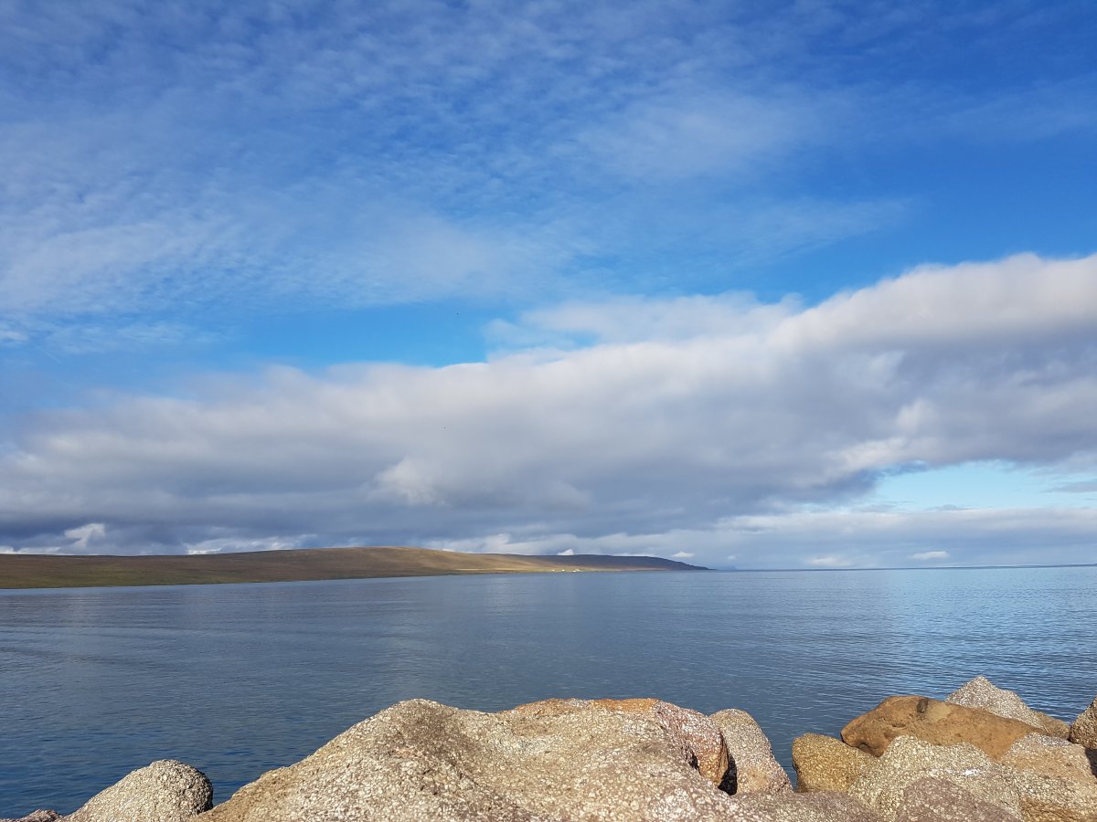 Entlang Islands Nordküste