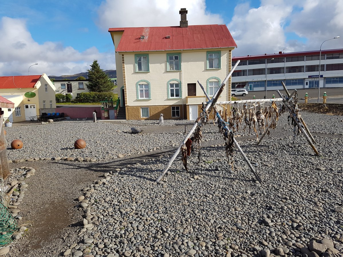 Entlang Islands Nordküste