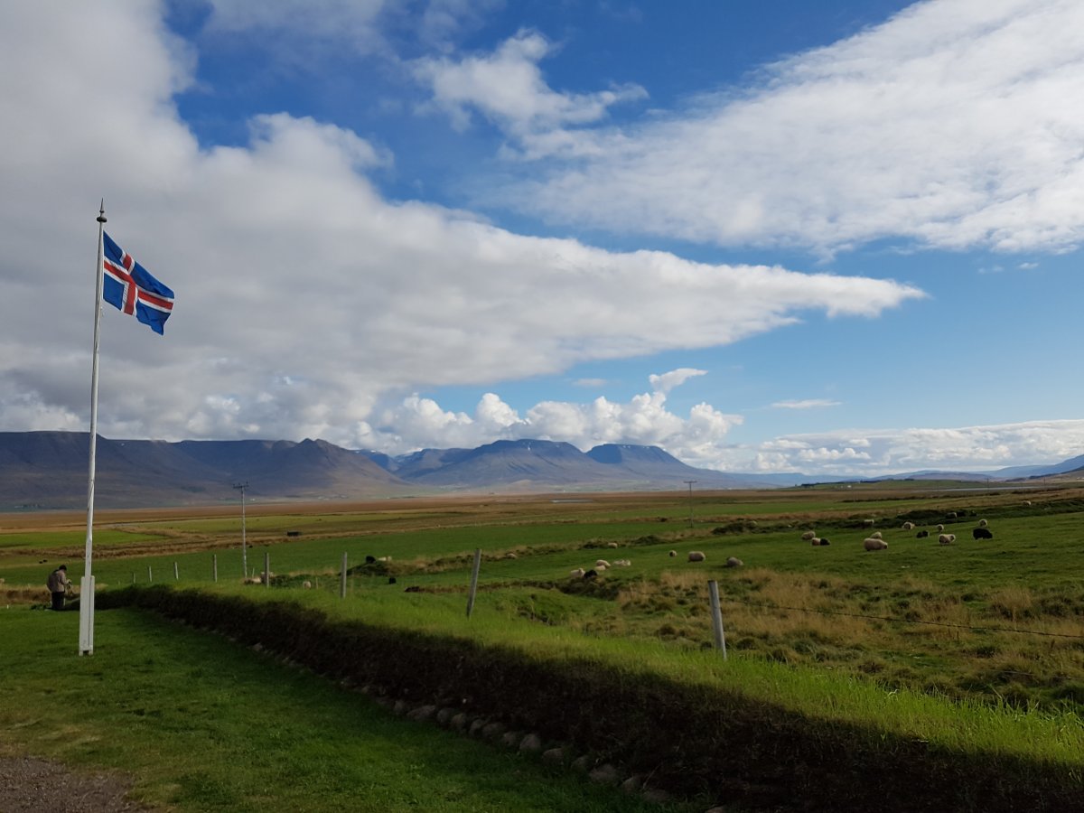 Entlang Islands Nordküste