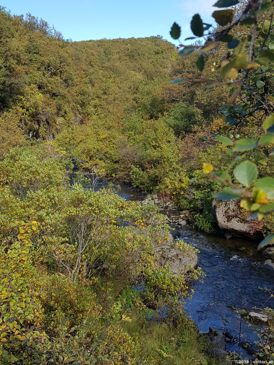 Skaftafell & Svartifoss