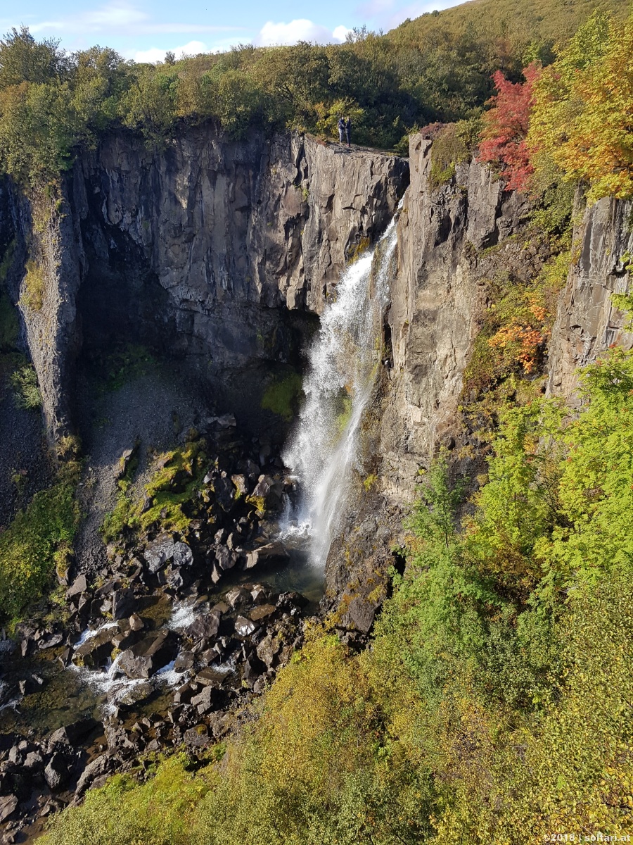 Skaftafell & Svartifoss