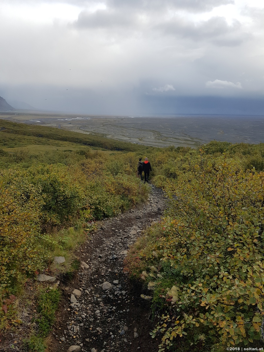 Skaftafell & Svartifoss