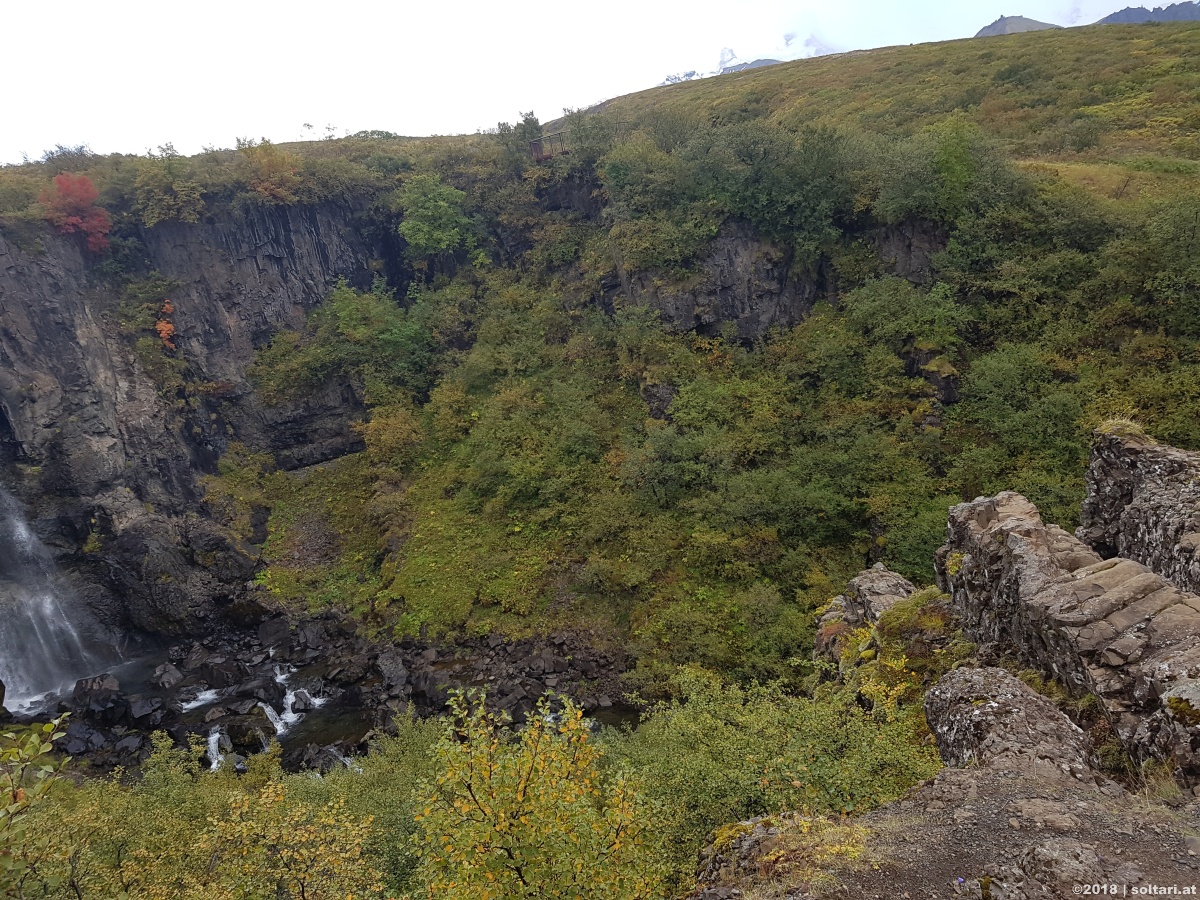 Skaftafell & Svartifoss