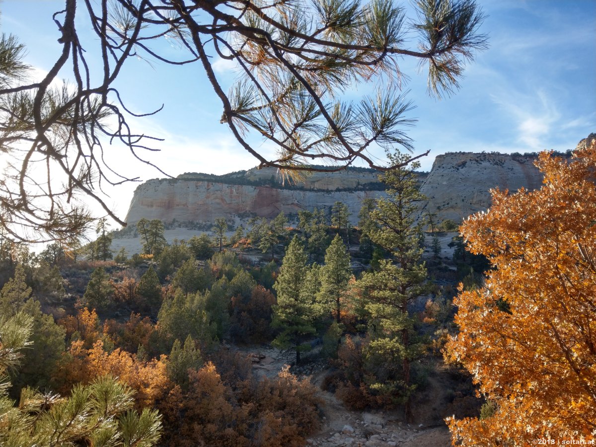 South Utah