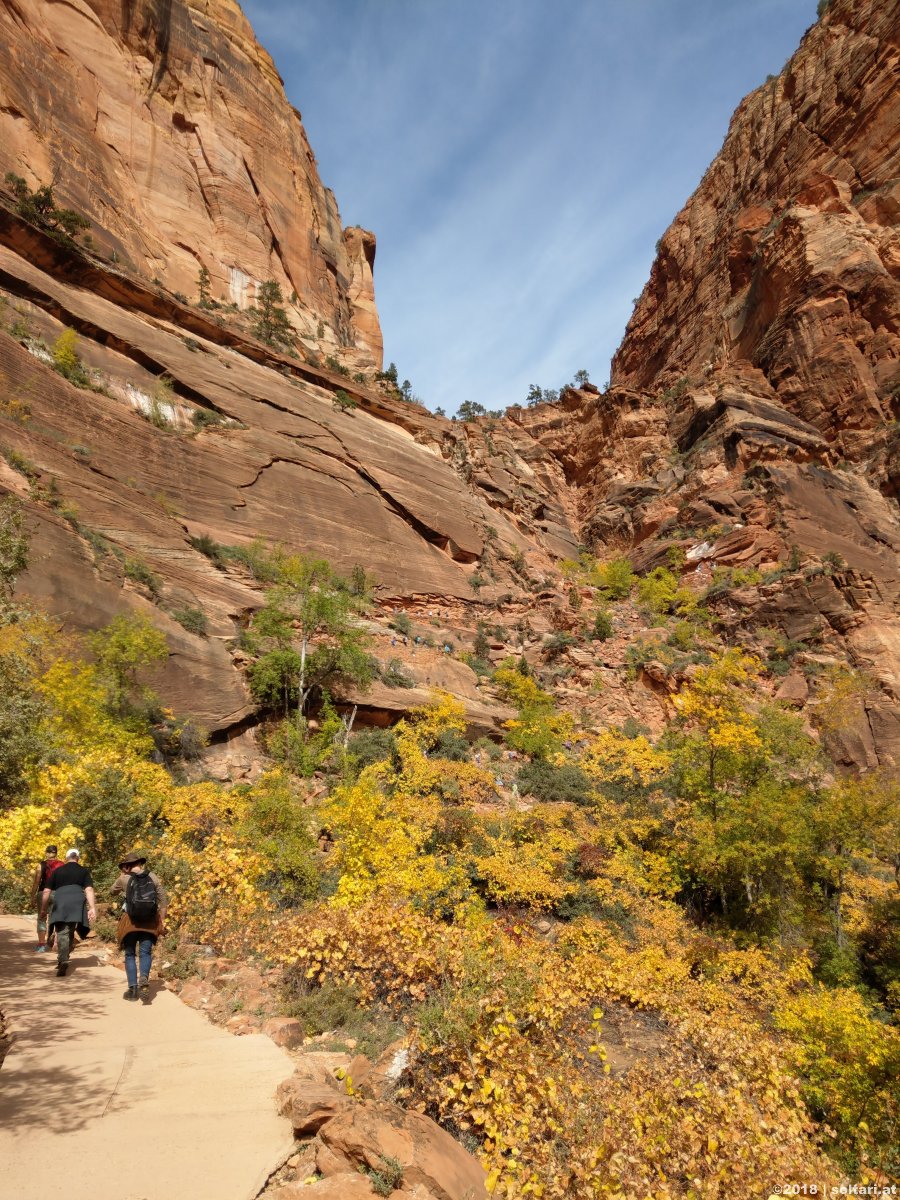 Zion National Park