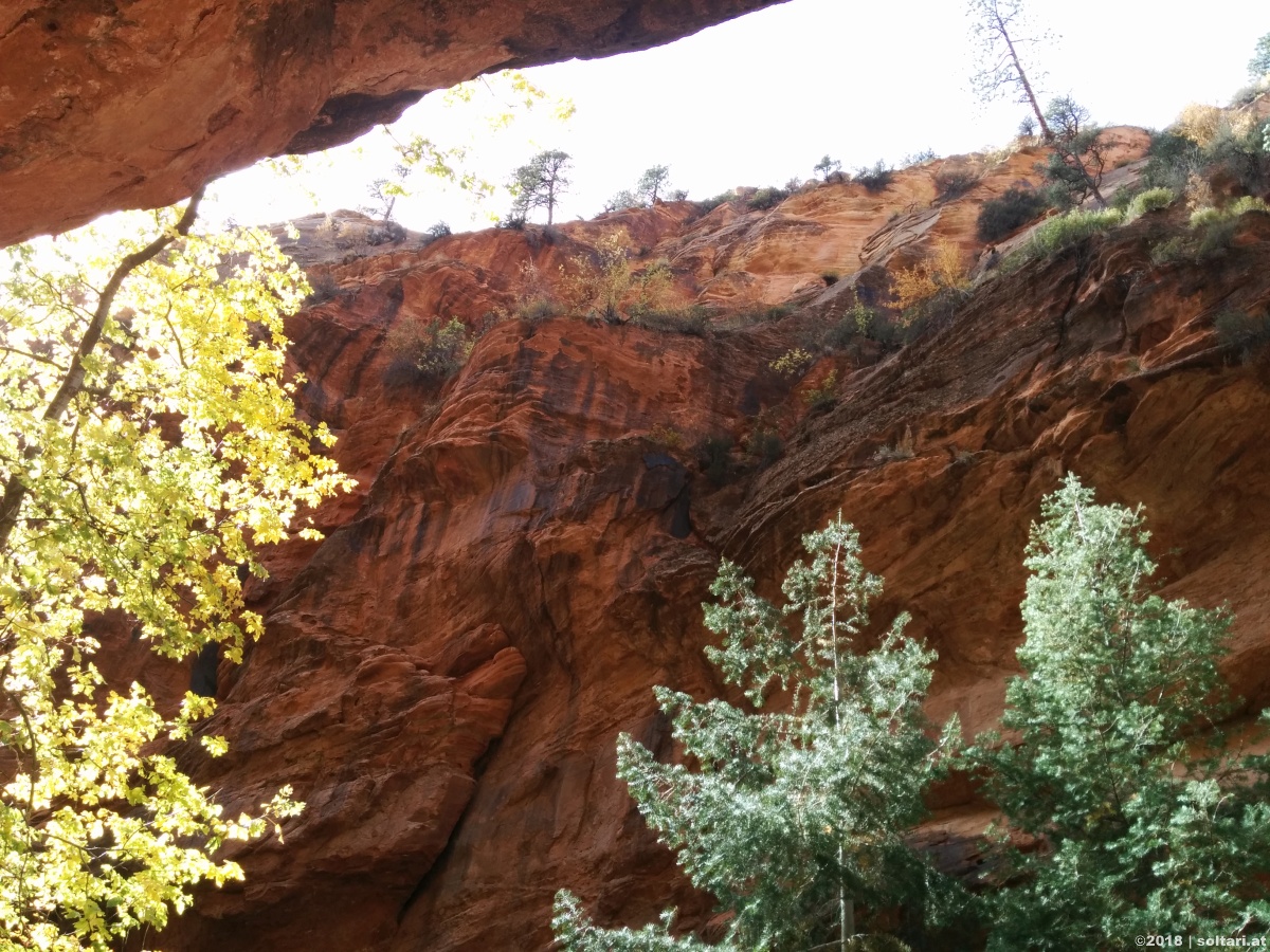 Zion National Park