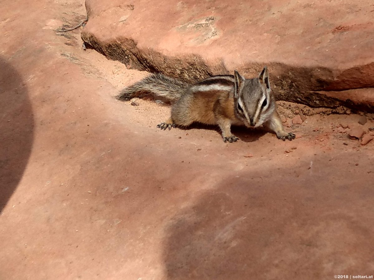 Zion National Park